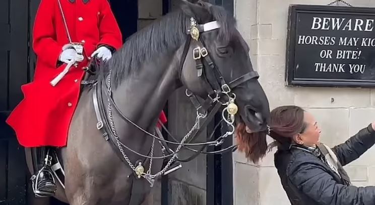 Άλογο της βασιλικής φρουράς στη Βρετανία δάγκωσε την κοτσίδα τουρίστριας