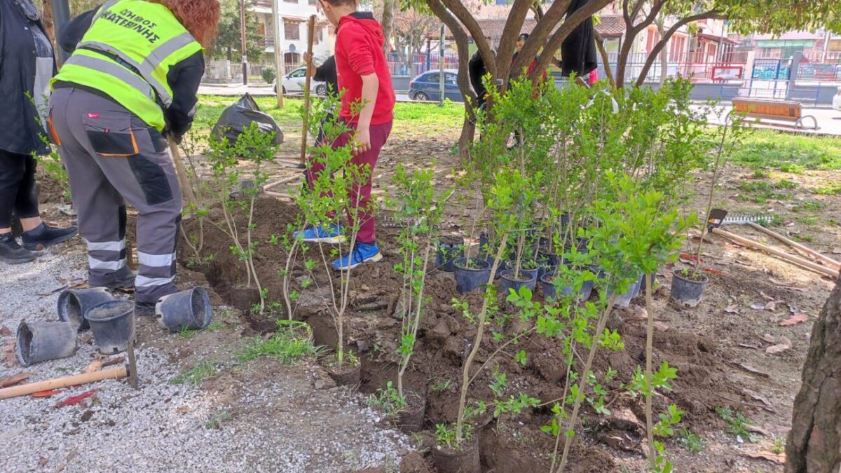 Δήμος Κατερίνης: Φύτευση δέντρων από εθελοντές στο Πάρκο των Ευαγγελικών