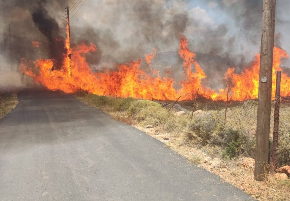 Έλαφος: Φωτιά σε αγροτική περιοχή