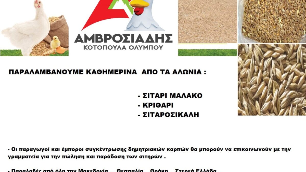 Συγκέντρωσή σιτηρών από τη Βιομηχανία Ζωοτροφών «Αμβροσιάδη»