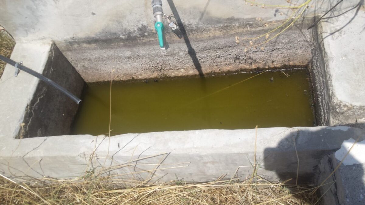 Καταγγελία κατοίκου: «Οι χωρίς νερό ποτίστρες στην Κοινότητα Τριλόφου αιτία αφυδάτωσης του ζωικού κεφαλαίου»