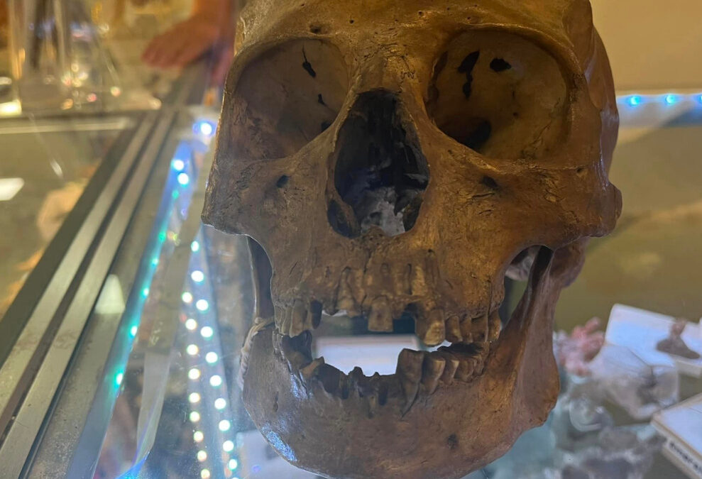Βρέθηκε ανθρώπινο κρανίο σε κατάστημα στο τμήμα για το Halloween