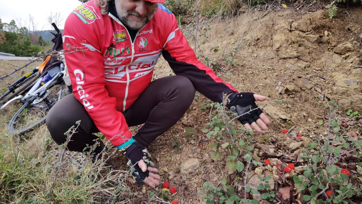Ελεύθεροι Ποδηλάτες Πιερίας: Κούμαρα – «Τα άγρια φρούτα του χειμώνα»