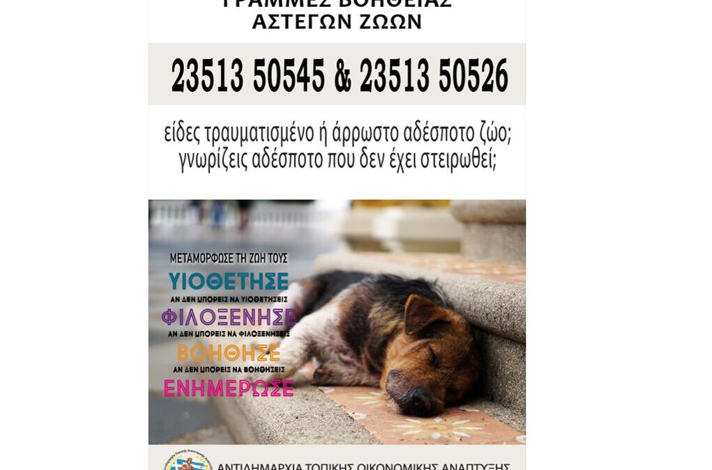 Δήμος Κατερίνης: Πρωτοβουλία φροντίδας για αδέσποτα & δεσποζόμενα ζώα