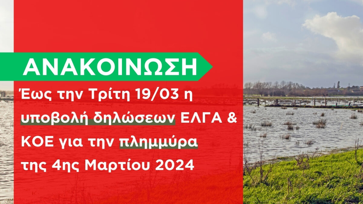 Έως την Τρίτη 19/03 η υποβολή δηλώσεων ΕΛΓΑ & ΚΟΕ για την πλημμύρα της 4ης Μαρτίου 2024