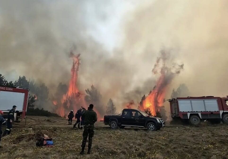 Ο Κυνηγητικός Σύλλογος Κατερίνης για την φωτιά στα Πιέρια