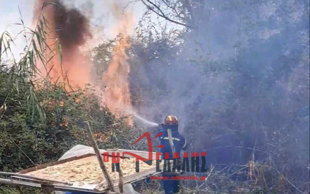 ΤΩΡΑ: Μεγάλη φωτιά στους Νέους Πόρους –  Μάχη με τις φλόγες κοντά στο γήπεδο του οικισμού