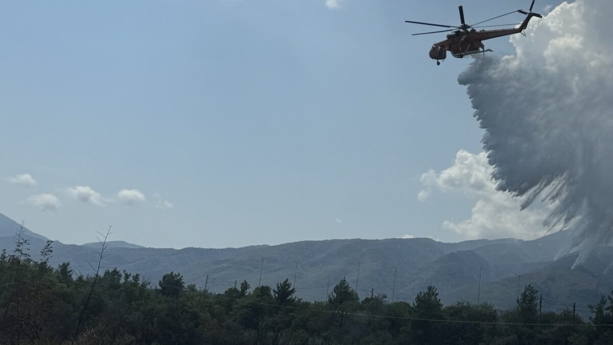 Υπό μερικό έλεγχο η φωτιά στην Πλάκα Λιτοχώρου