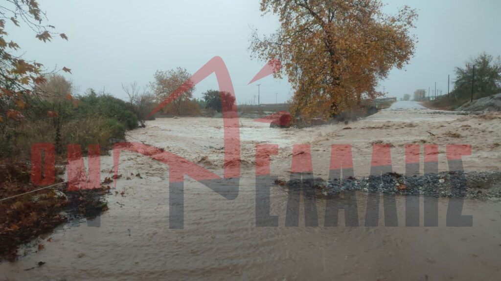 Φωτογραφία: Ρέμα Ντρεμπινα