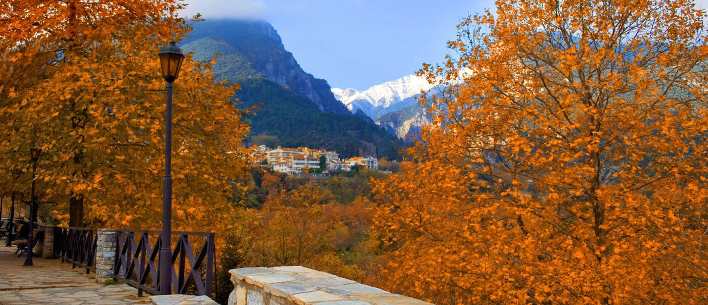 Συγκροτήθηκε σε σώμα το νέο Διοικητικό Συμβούλιο του Συλλόγου Π.Ο.Λ.Ι.Σ Λιτοχώρου