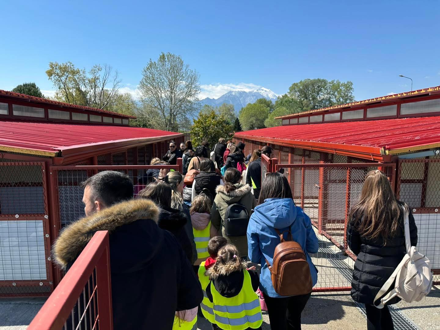 Κατερίνη | Εκπαιδευτικές επισκέψεις μαθητών στο Καταφύγιο Αδέσποτων Ζώων του Δήμου