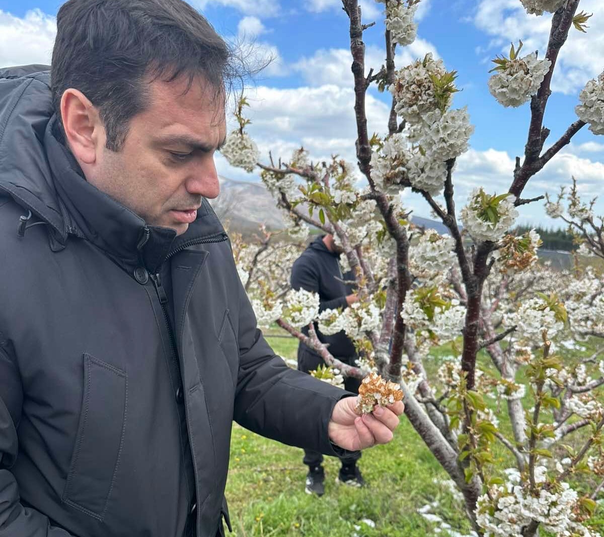 Άμεση κοινοβουλευτική παρέμβαση του Σπύρου Κουλκουδίνα για την οικονομική στήριξη των αγροτών που υπέστησαν ζημιές από τον παγετό