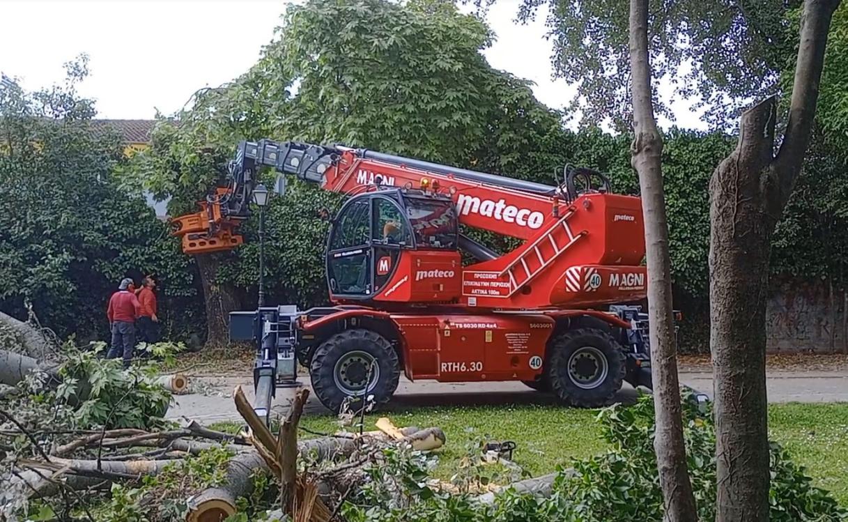 Δήμος Κατερίνης: Προληπτικές κλαδεύσεις αποφόρτισης δέντρων στο σιντριβάνι & στο δημοτικό πάρκο