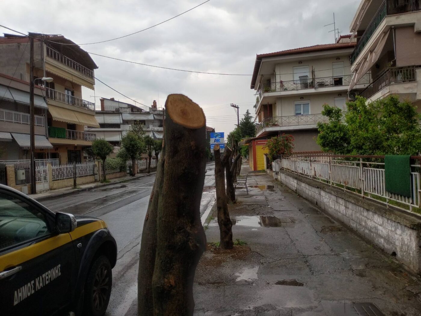  Κατερίνη: Ο Δήμος βάζει “φρένο” σε αυθαίρετες παρεμβάσεις στο πράσινο