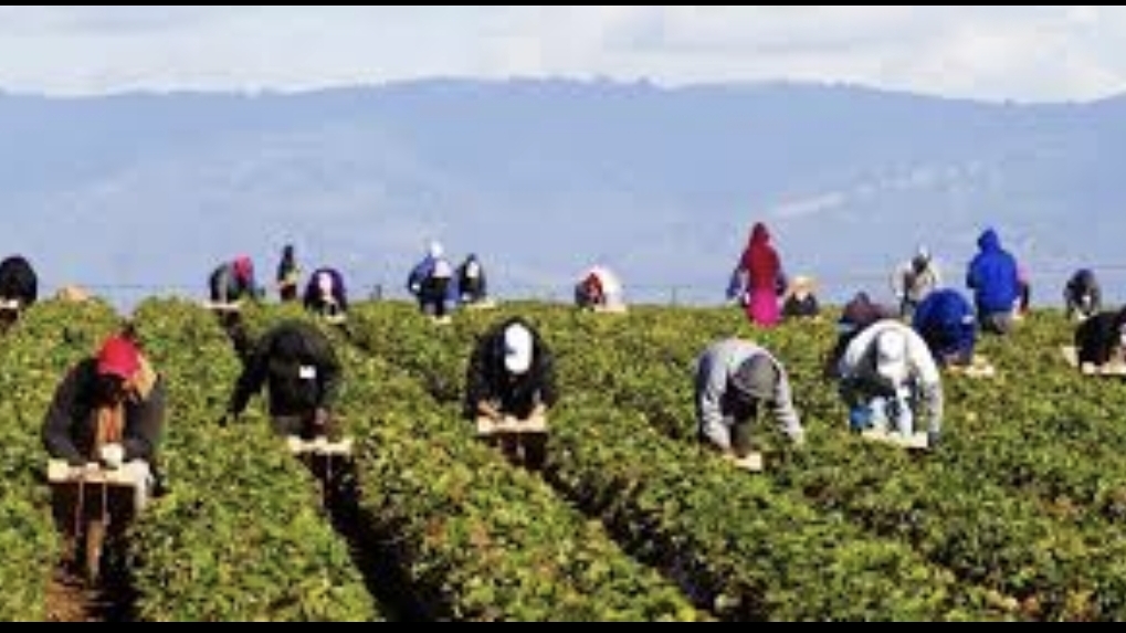 Που ‘ναι οι εργάτες γης οέο;