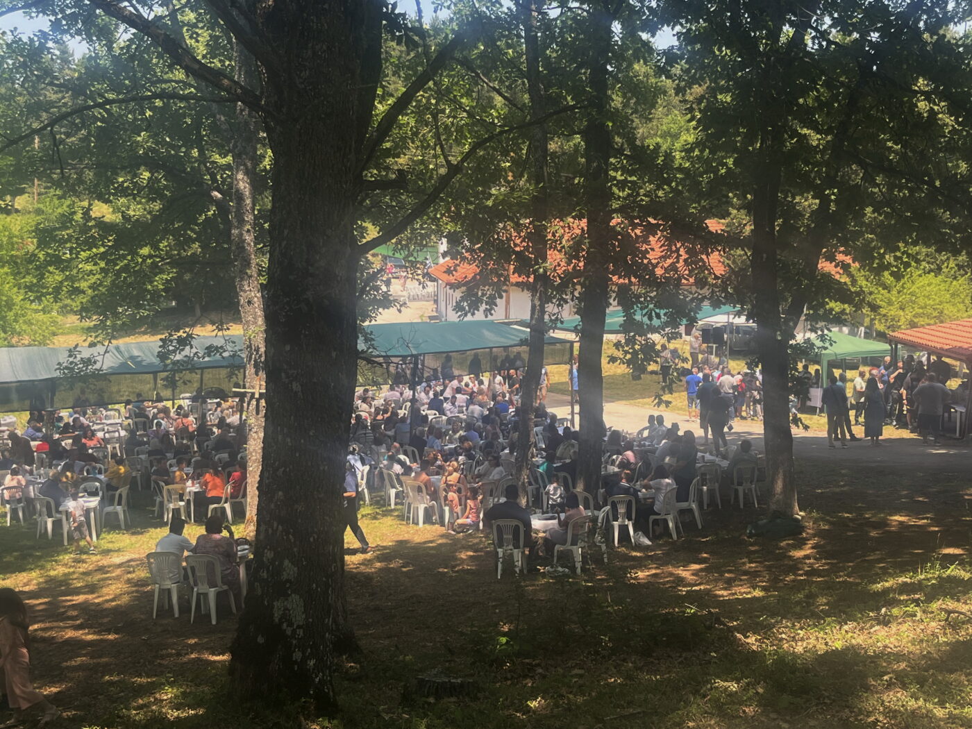 Ζωή Μελιοπούλου: “Ζωτικής σημασίας η ασφαλτόστρωση του δρόμου Ελαφίνας-Ρυακίων που ενώνει δύο νομούς”