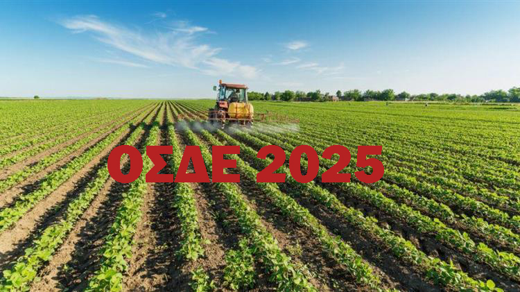 Στα τοπικά ΚΥΔ για την κατάθεση του ΟΣΔΕ 2025: Τι πρέπει να κάνουν οι αγρότες μας