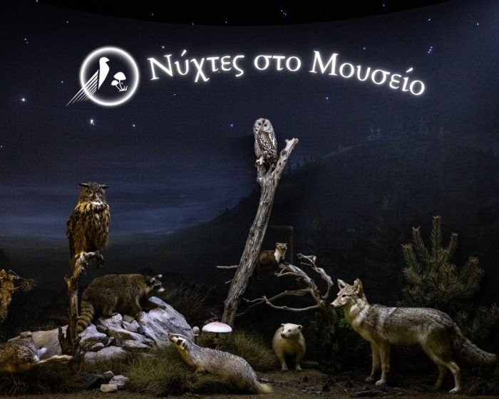 Νύχτες στο Μουσείο | Μία μαγευτική μουσειακή εμπειρία ήχου, εικόνων και γεύσεων