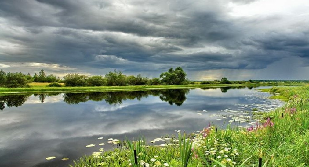 Πρωτοβουλία για τον Πέλεκα | Προβολή ταινίας με αφορμή την Παγκόσμια Ημέρα Περιβάλλοντος