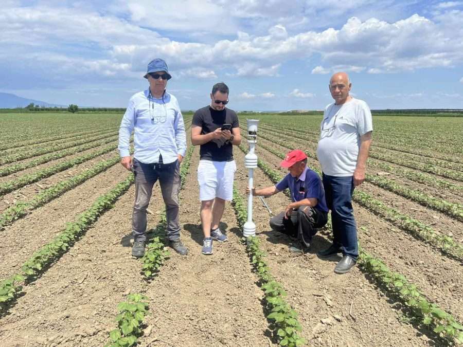 Μετάβαση από την παραδοσιακή στην τεχνολογική γεωργία για στήριξη της βιωσιμότητας βαμβακοκαλλιέργειας