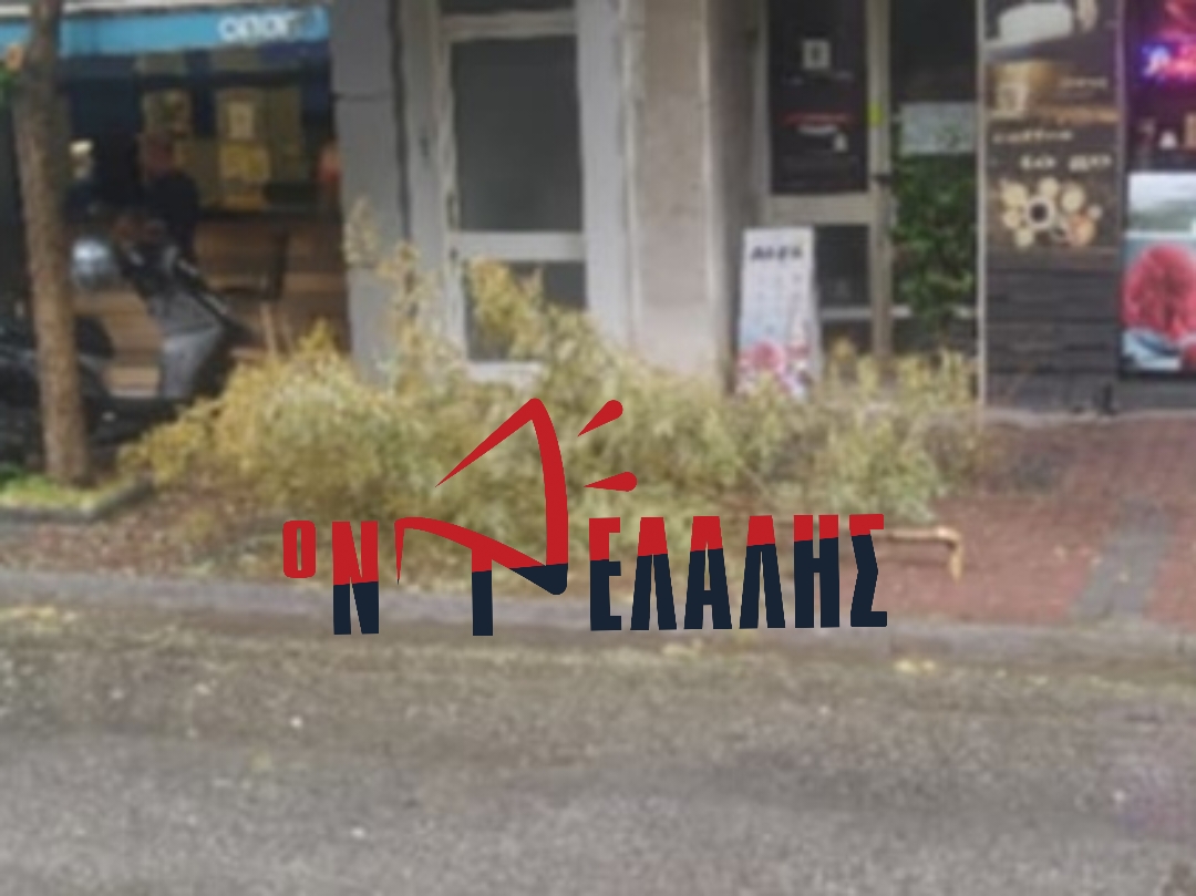 Πτώση κλαδιού στο κέντρο της Κατερίνης