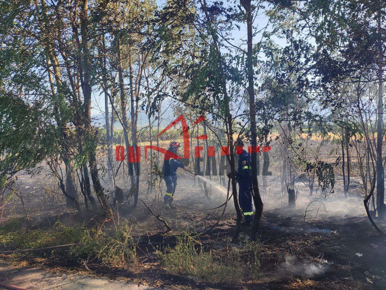 Έγκαιρη Κατάσβεση Πυρκαγιάς στη Νέα Έφεσο