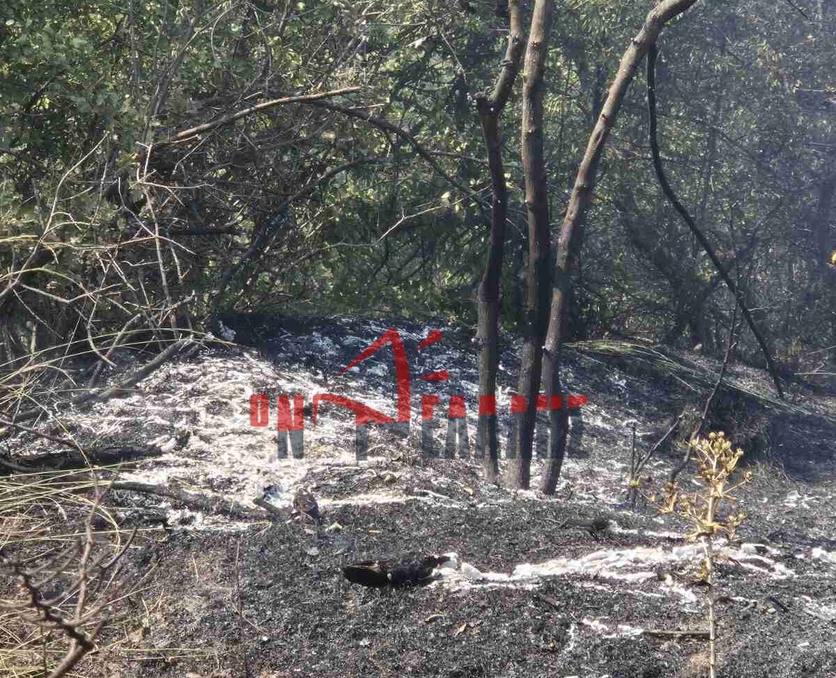Μήνυμα Ευγνωμοσύνης της Προέδρου της Κοινότητας Παλαιοστάνης