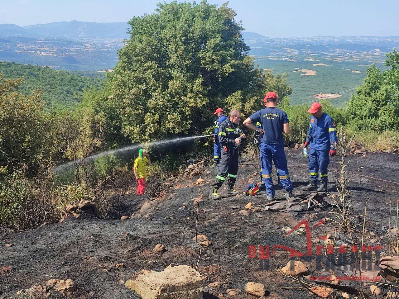 Φωτιά στην περιοχή της Λόκοβης Πιερίας (vid)