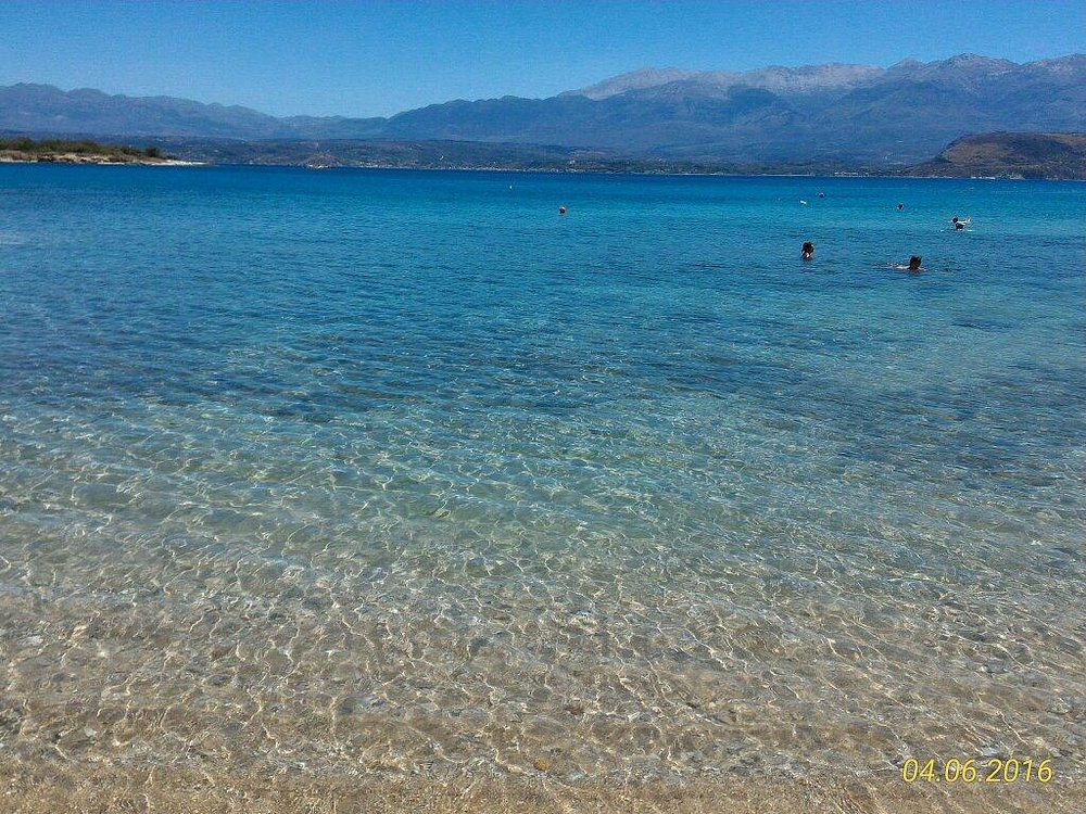 Περιπέτεια με θαλάσσια χελώνα στα Χανιά: Δάγκωσε λουόμενο στο Μαράθι