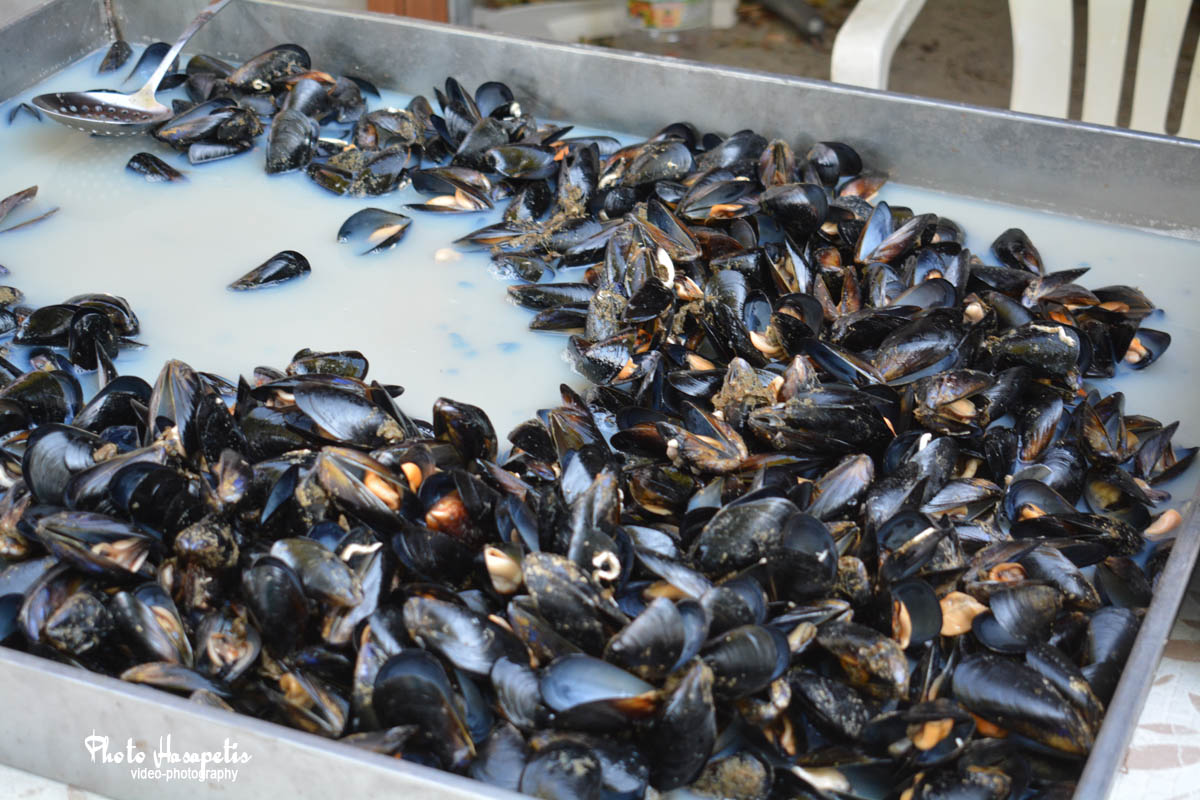 Μακρύγιαλος: Εντοπίστηκε παράνομο φορτίο οστράκων, συνελήφθησαν τρία άτομα