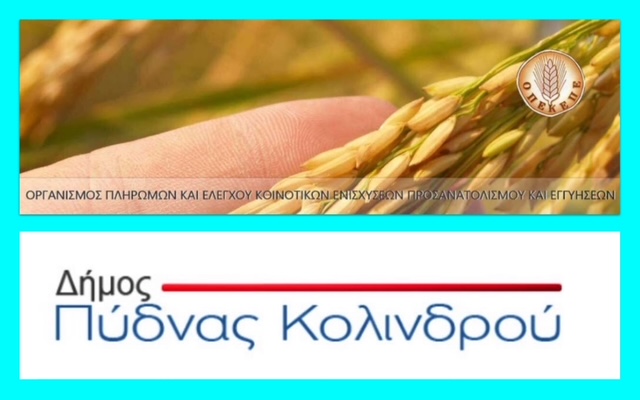 Ο.Π.Ε.Κ.Ε.Π.Ε και δήμος Πύδνας-Κολινδρού | Του Αναστάσιου Μανώλα