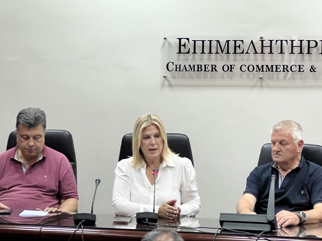 Κριτική της Ράνιας Θρασκιά στην κυβέρνηση από την Πιερία