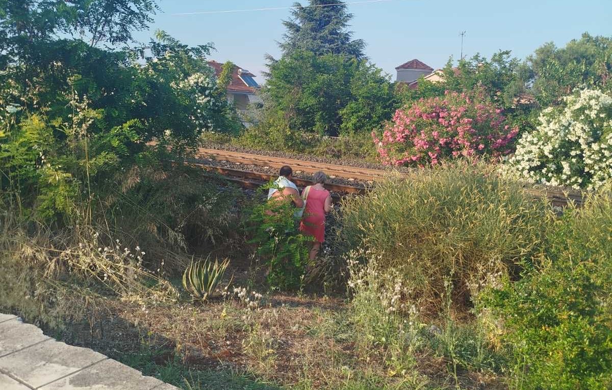 Σπ. Κουλκουδίνας:  Να ληφθούν μέτρα ασφαλείας για το χωρίς περίφραξη σιδηροδρομικό δίκτυο, στο ύψος της Λεπτοκαρυάς
