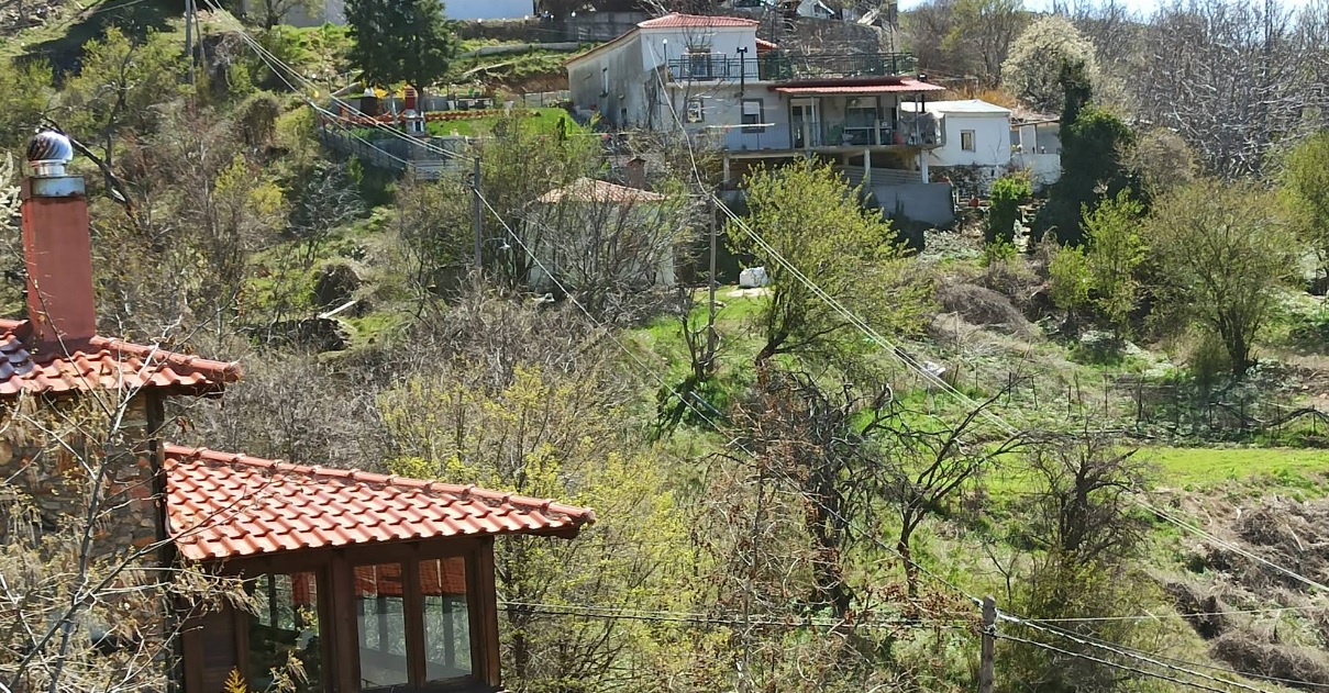 Πυρκαγιά σε δασική έκταση στην περιοχή Σπηλιά Τεμπών