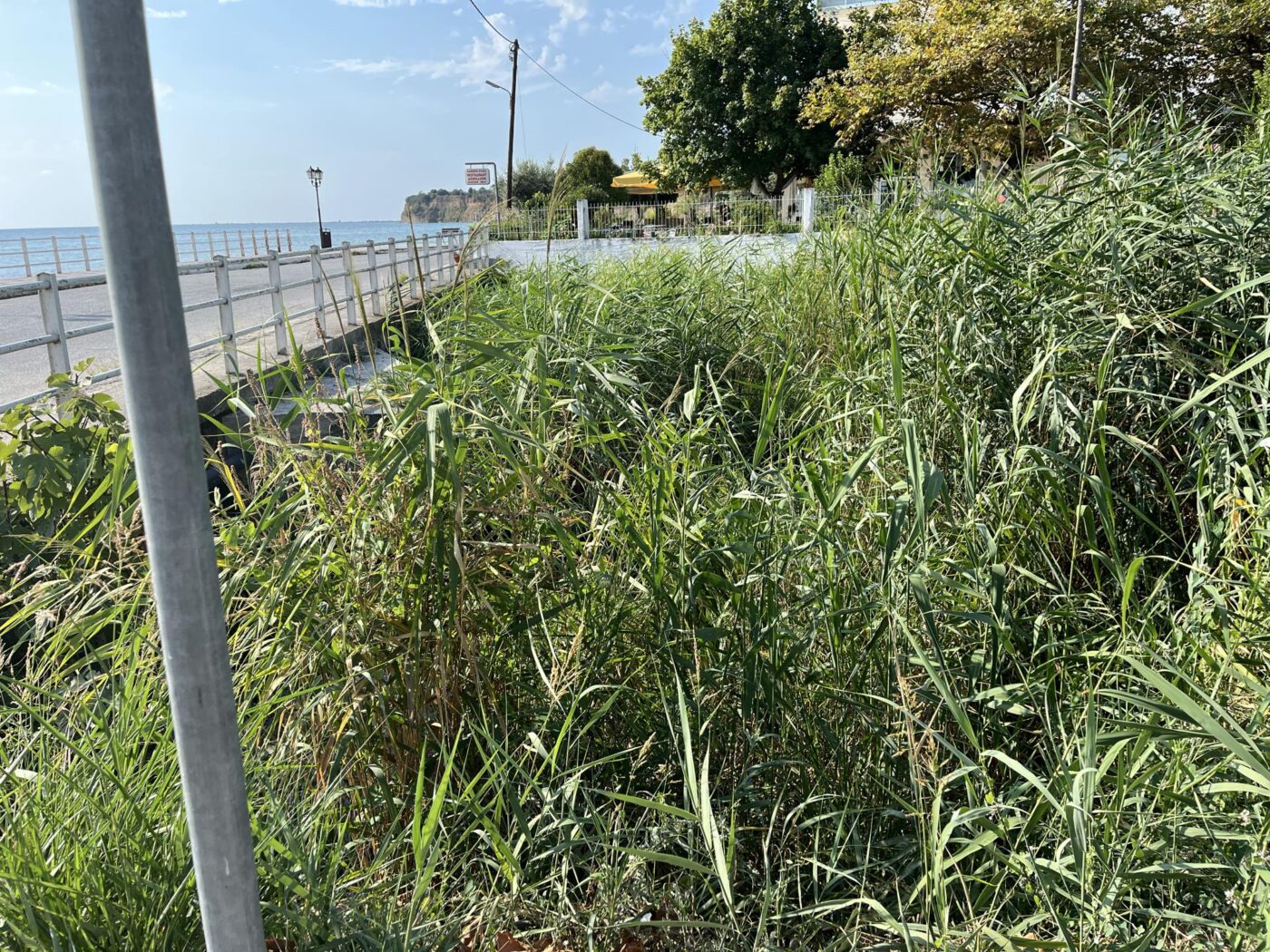 Μακρύγιαλος: Κάτοικοι και φορείς, ζητούν άμεσο καθαρισμό ρέματος παραλίας