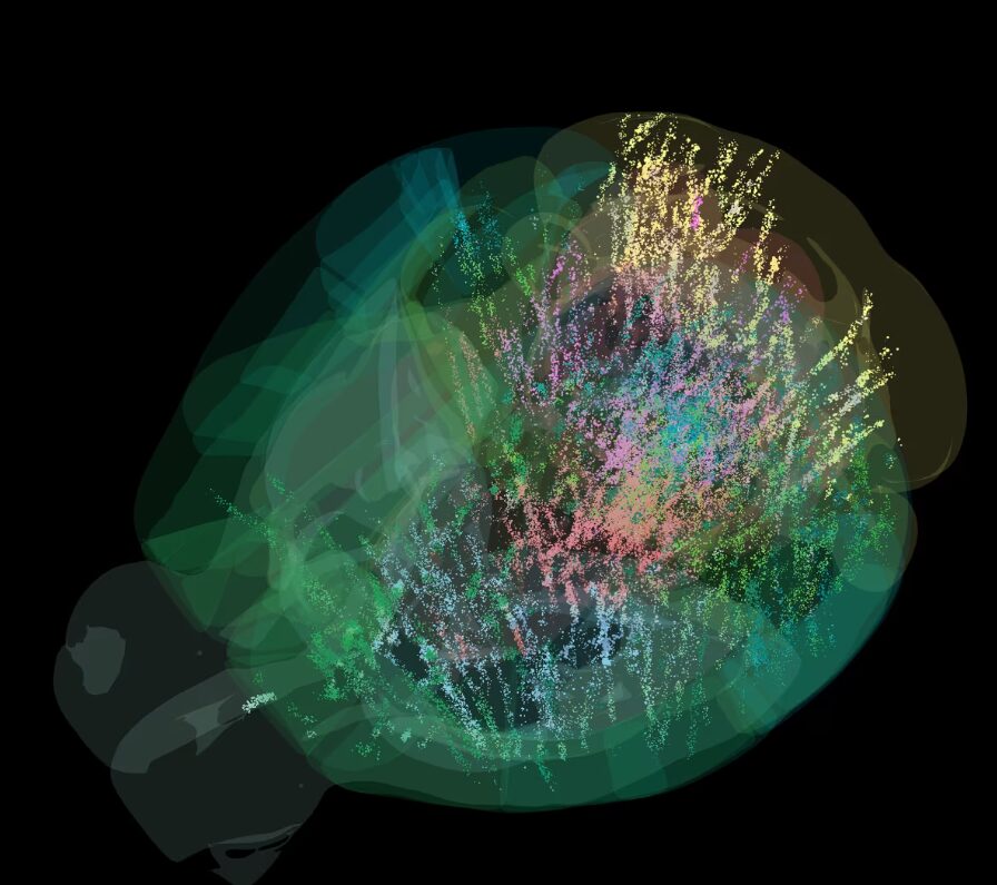 Μελέτη εντοπίζει την προέλευση του αυτισμού στην άνοδο της ανθρώπινης νοημοσύνης