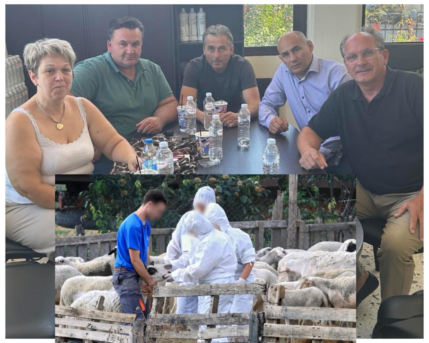 Η ευλογιά των προβάτων στο επίκεντρο συνάντησης Κ. Δελβερούδη και κτηνοτρόφων της Πιερίας