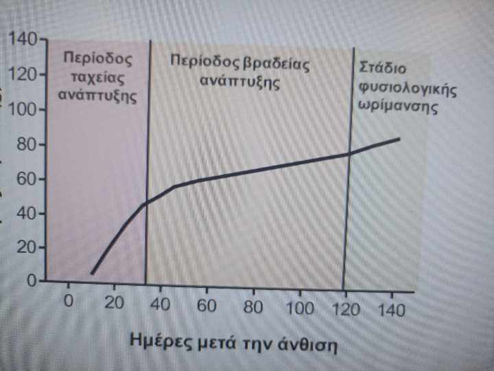 Πρώιμη κοπή ακτινιδίου ως κρίσιμος παράγοντας υποβάθμισης των ποιοτικών χαρακτηριστικών του