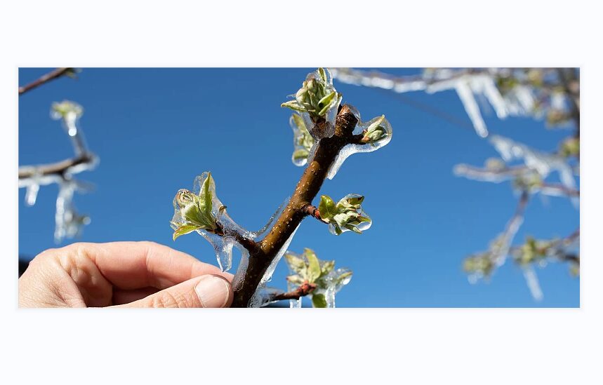 Δέσμευση πως Οκτώβριο θα πληρωθούν οι προκαταβολές για τις ζημιές που προκλήθηκαν την περασμένη άνοιξη