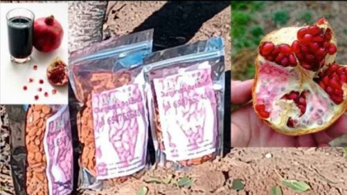 Χυμός Ροδιού & Αμύγδαλα – Παραγγείλετε Τώρα!