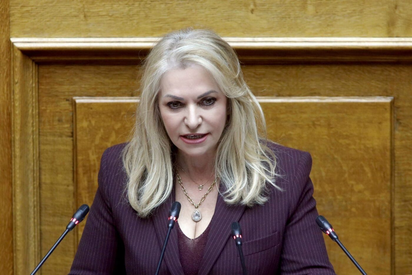 Άννα Μάνη: Η Κυβέρνηση της Νέας Δημοκρατίας ανοίγει νέο κεφάλαιο για την Ελλάδα!