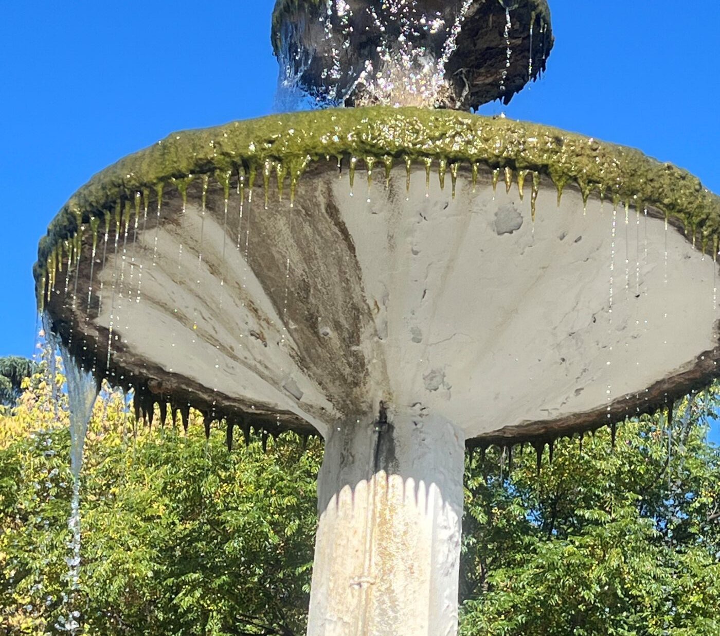 Το πάρκο της ντροπής… λίγο πριν τα Χριστούγεννα | Του Γιώργου Κυριακίδη