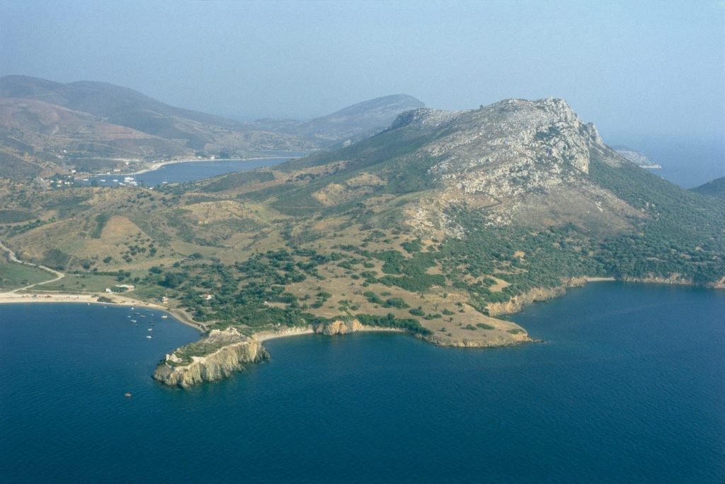 Αρχαιολογικό Μουσείο Θεσσαλονίκης: Μυκηναϊκός αμφορέας από τα βάθη της Τορώνης