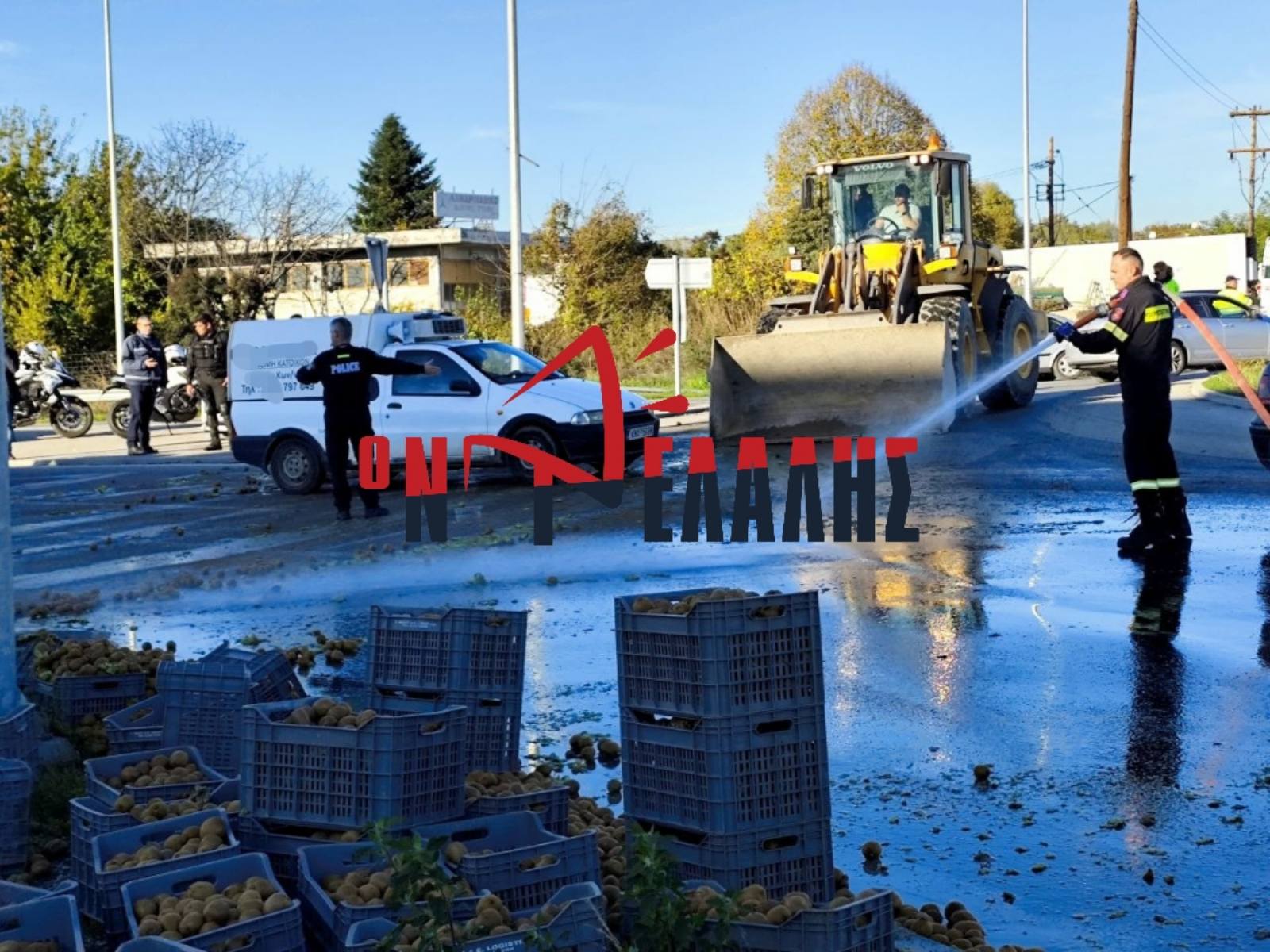 Περιφερειακή Κατερίνης: Ο δρόμος γέμισε τελάρα με ακτινίδια! (vid)