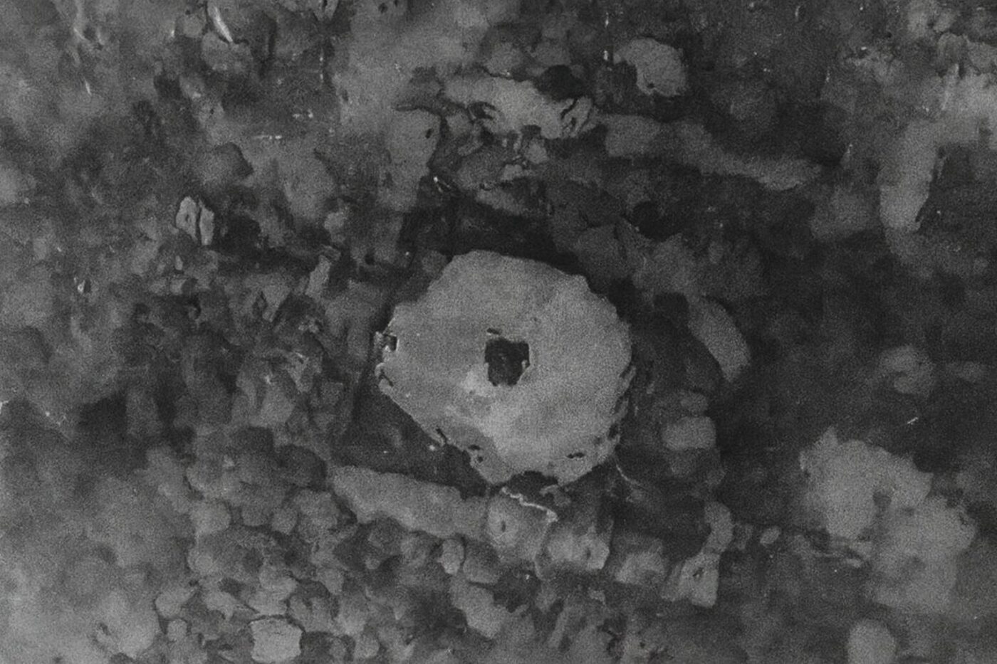 Η χαμένη πόλη της Ισσύκ-Κουλ: Ανακάλυψη που θυμίζει τον μύθο της Ατλαντίδας