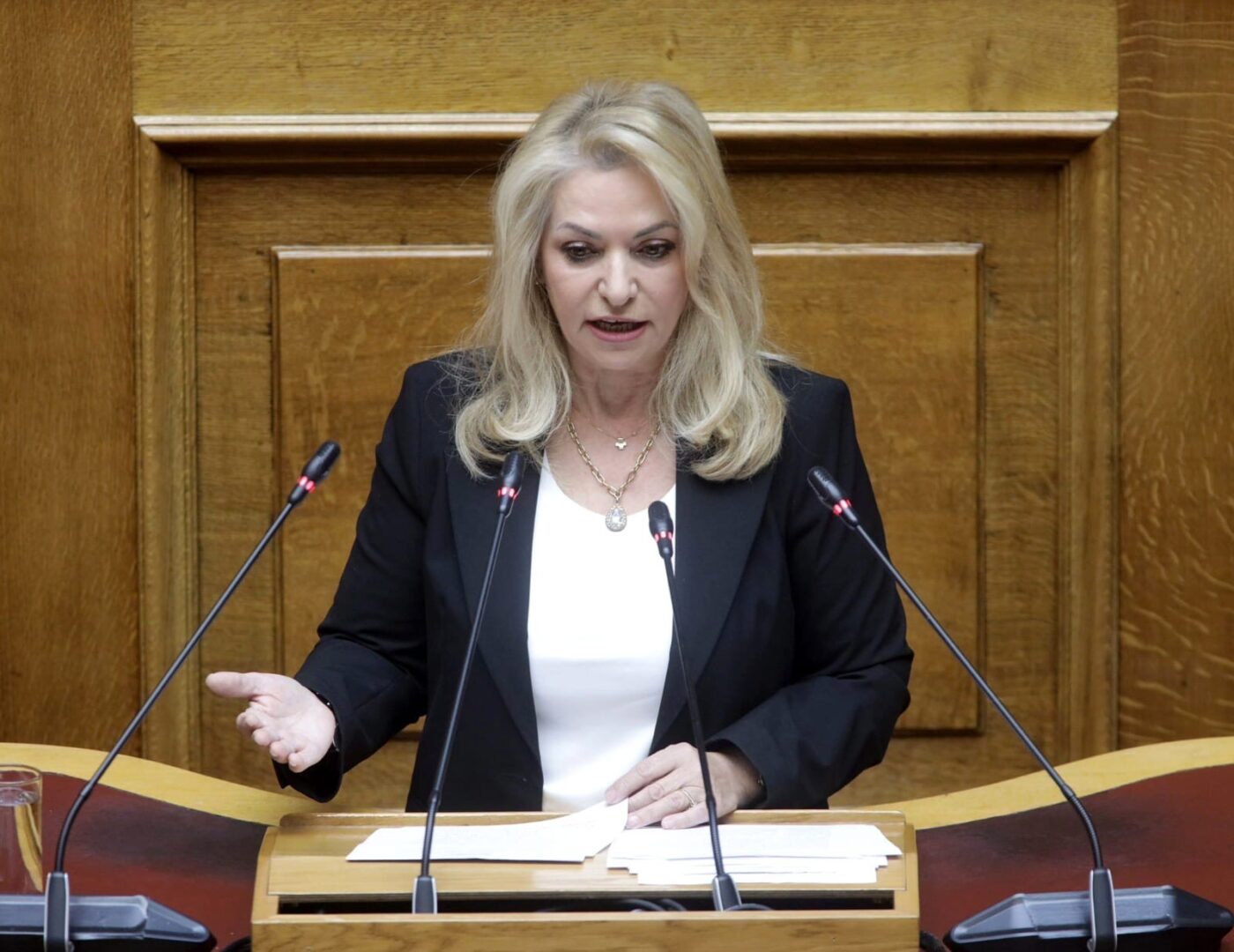 Άννα Μάνη: Κεντρική εισηγήτρια στο νομοσχέδιο για το πρώτο εργοστάσιο Τεχνητής Νοημοσύνης