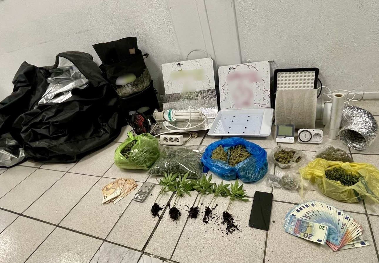 Πιερία: Χειροπέδες σε δύο άτομα για διακίνηση και καλλιέργεια κάνναβης