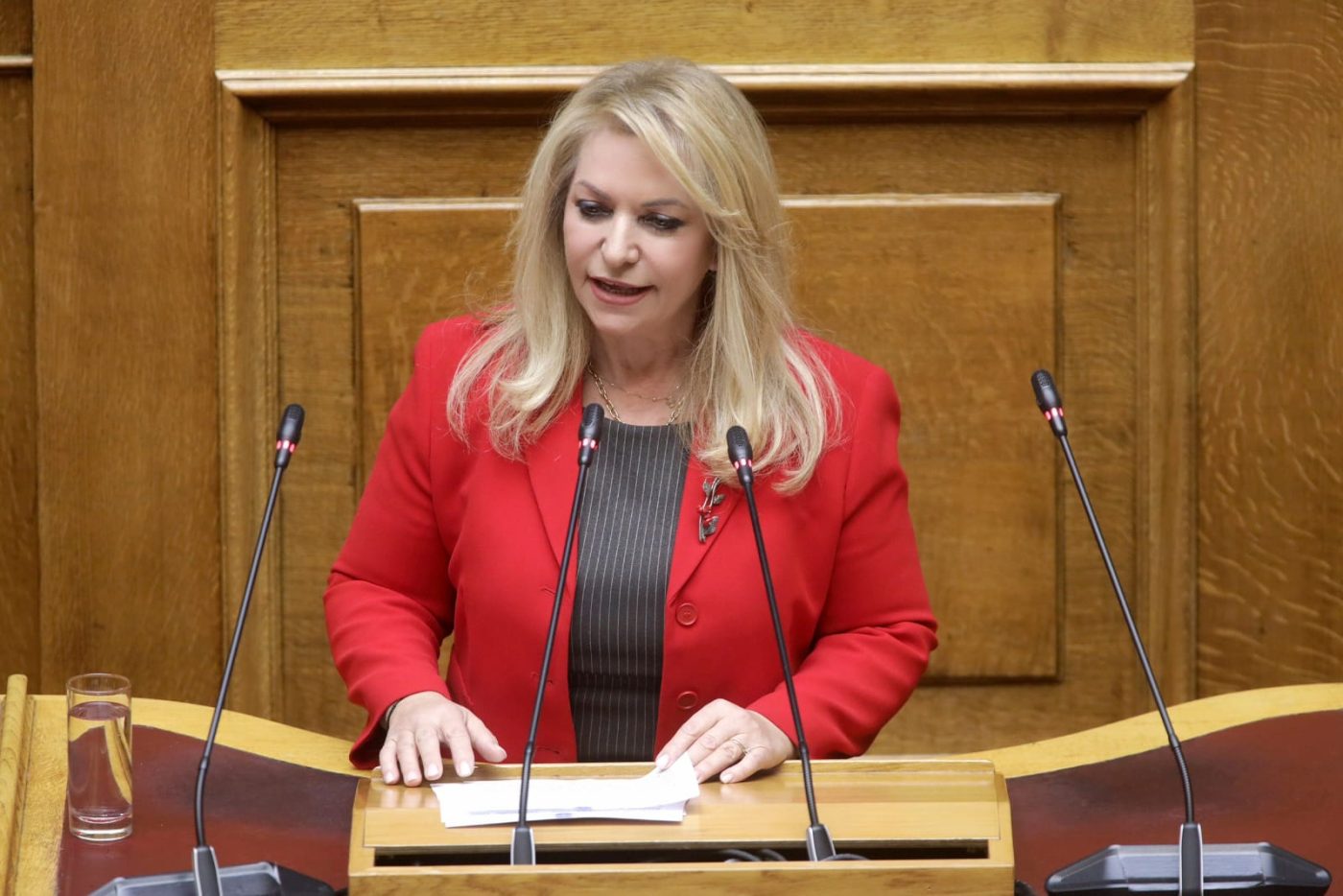 Άννα Μάνη: Ο πρωτογενής τομέας χρειάζεται συνεργασία, όχι εύκολη κριτική