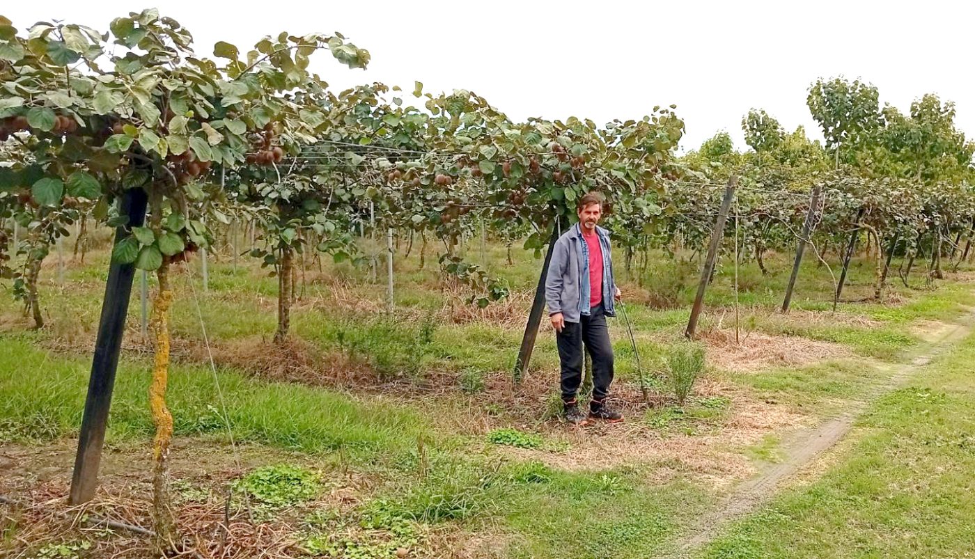 Η Συμβουλευτική Γεωργία ως βασικός παράγοντας για την επιτυχημένη καλλιέργεια των Ακτινιδίων