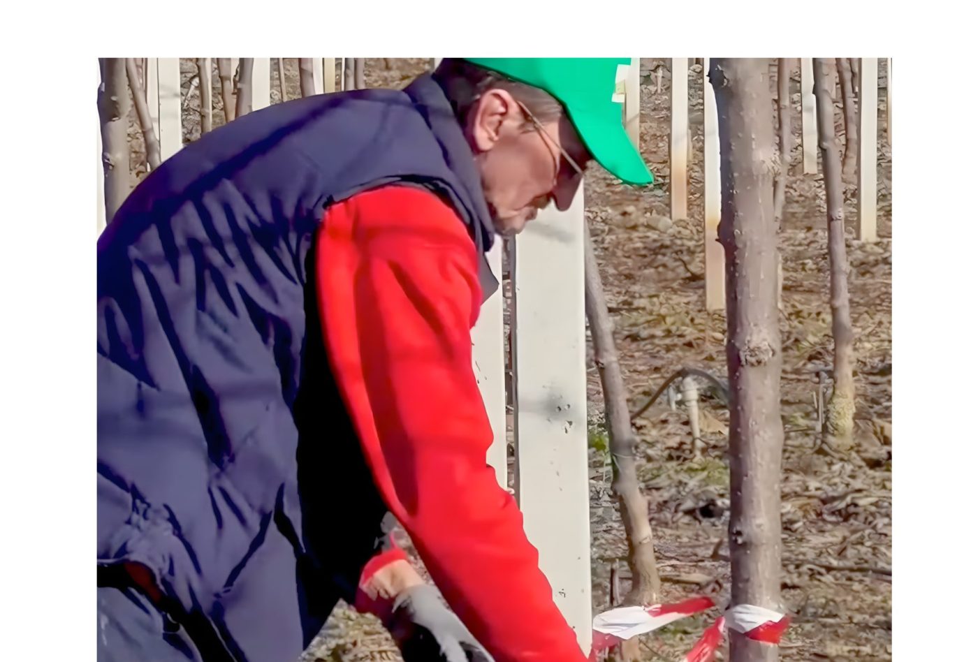 Ακτινίδια και εδαφολογική ανάλυση